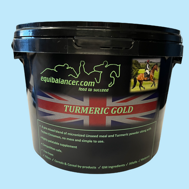 Equine Turmeric Golden Powder