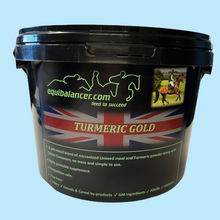 Load image into Gallery viewer, Equine Turmeric Golden Powder