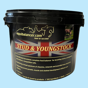 Stud And Youngstock Formula