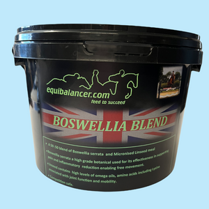 Boswellia Blend